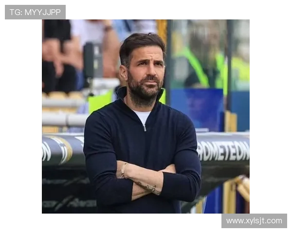 阿囧赛后怒斥少帅法布雷加斯风波